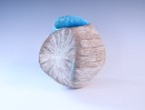 殻’26‐孵 "Shell"