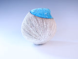 殻’26‐孵 "Shell"