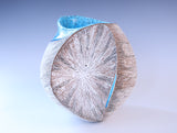 殻’26‐孵 "Shell"