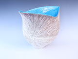Shell '25 - Hatch (Round Type.1)