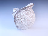 殻’26‐孵 "Shell"