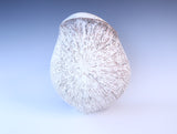 殻’26‐孵 "Shell"