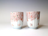 Teacup Sakura