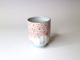 Teacup Sakura