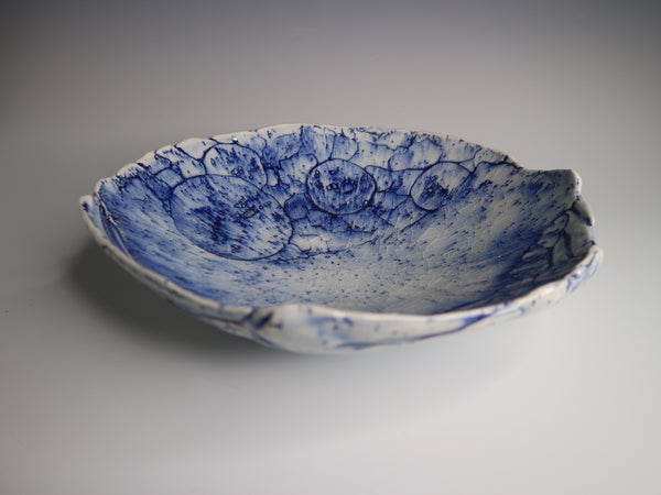 瀞　“Season 17”